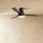 Clérachic low-profile ceiling fan in black with three dark walnut-toned blades and its round LED light switched on.