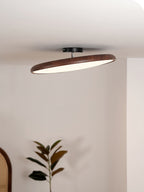 Dark walnut-grain ring of this Clérachic ceiling light on a short black canopy, above a plant in a pale room.