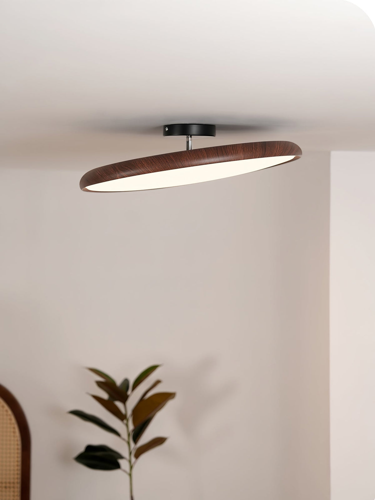 Dark walnut-grain ring of this Clérachic ceiling light on a short black canopy, above a plant in a pale room.