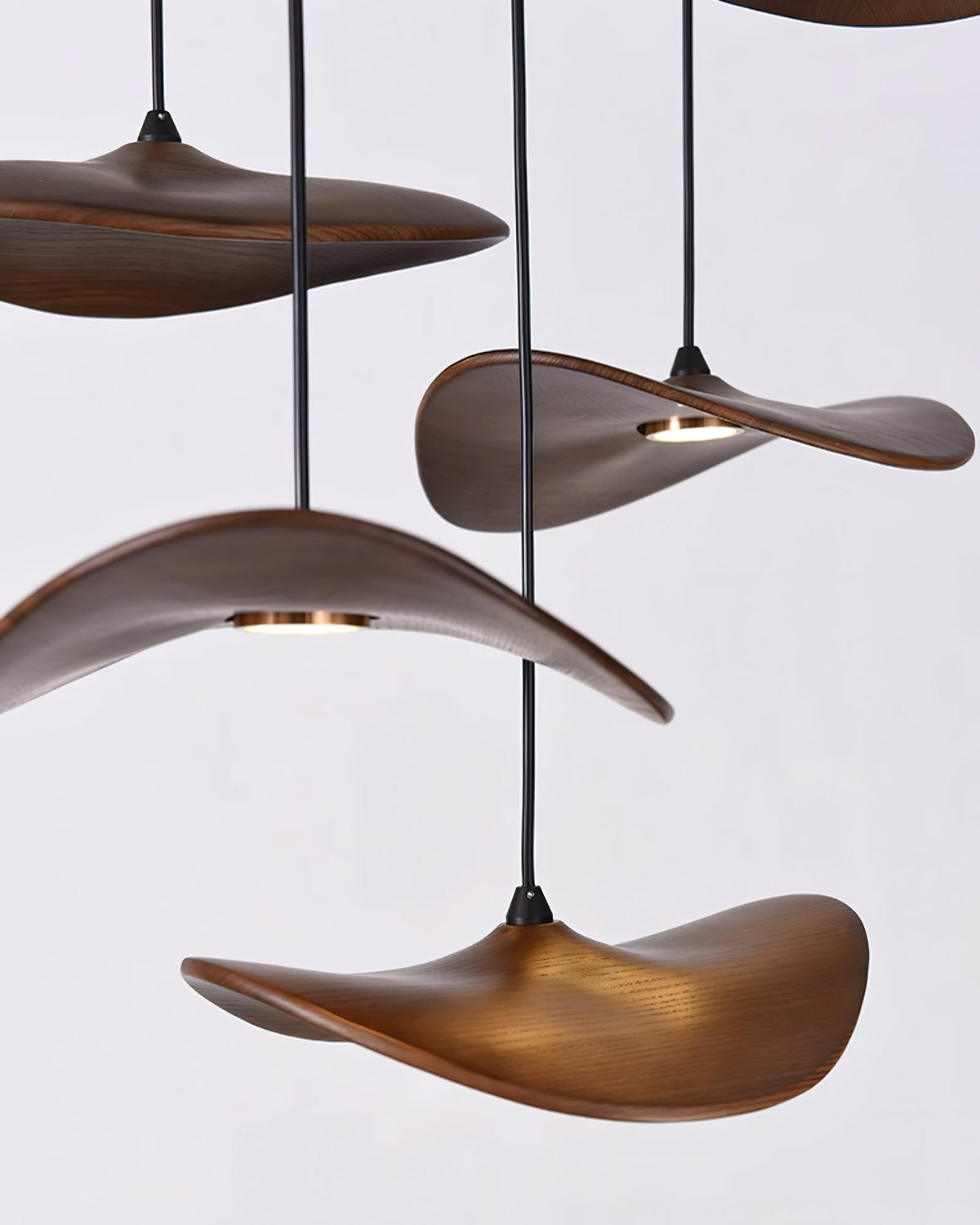 Walnut-colour Clérachic leaf pendants seen from below, in curved shapes with a warm light on each underside.