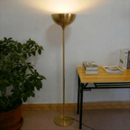 Clérachic brass floor lamp glowing beside a potted plant and a small table stacked with books and magazines.