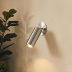 Clérachic wall lamp in chrome casting a leaf shadow on the wall beside a large potted fig plant.