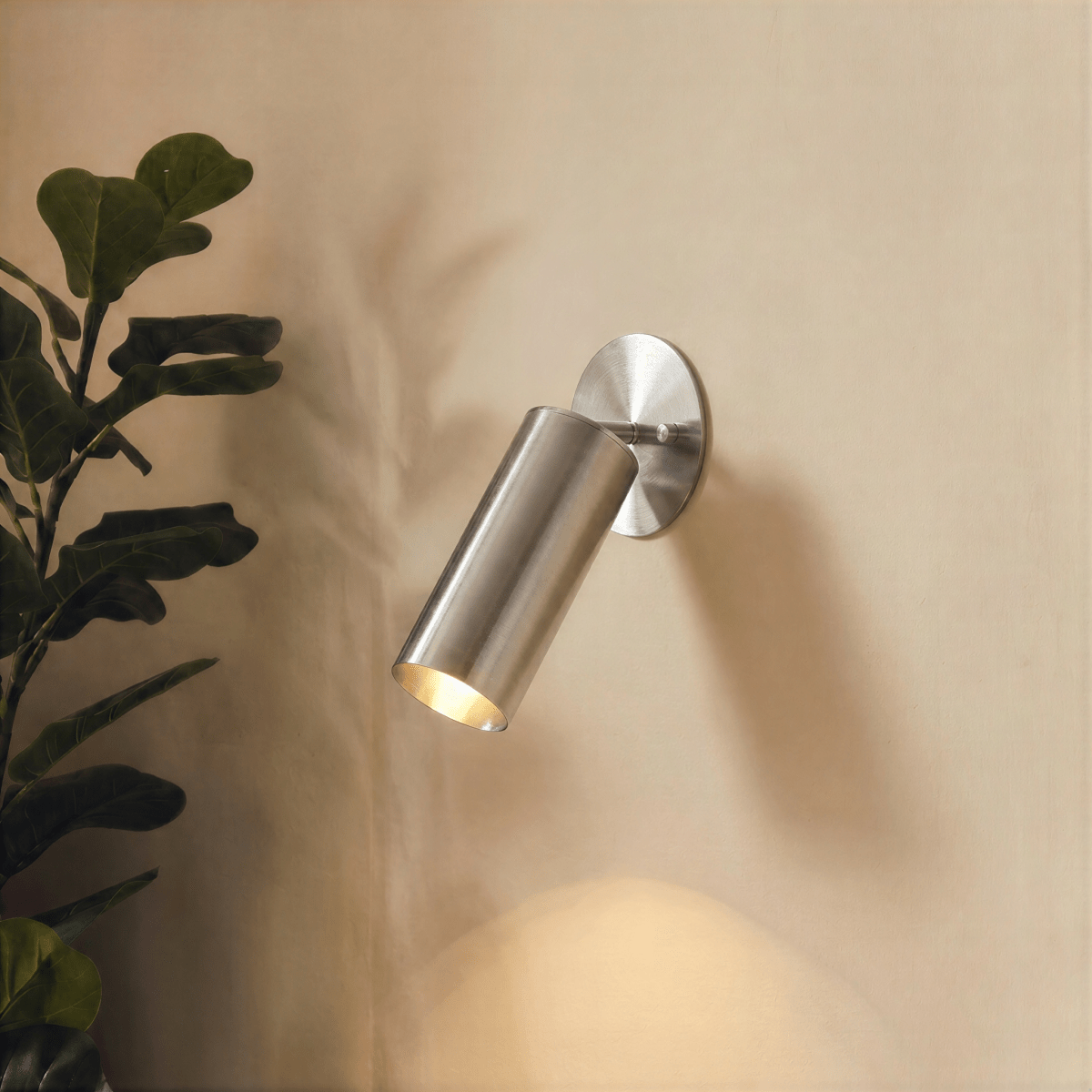 Clérachic wall lamp in chrome casting a leaf shadow on the wall beside a large potted fig plant.