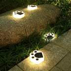 Four paw lights lit warm on a stone boulder and the paving edge beside a border of grass.