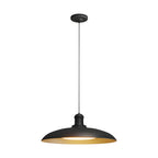 Outdoor Pendant Light With Round Carbide Steel Saucer Shade
