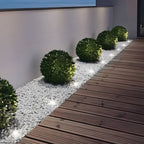 Graham Solar-Powered Aluminum Well Light for Outdoor Pathways