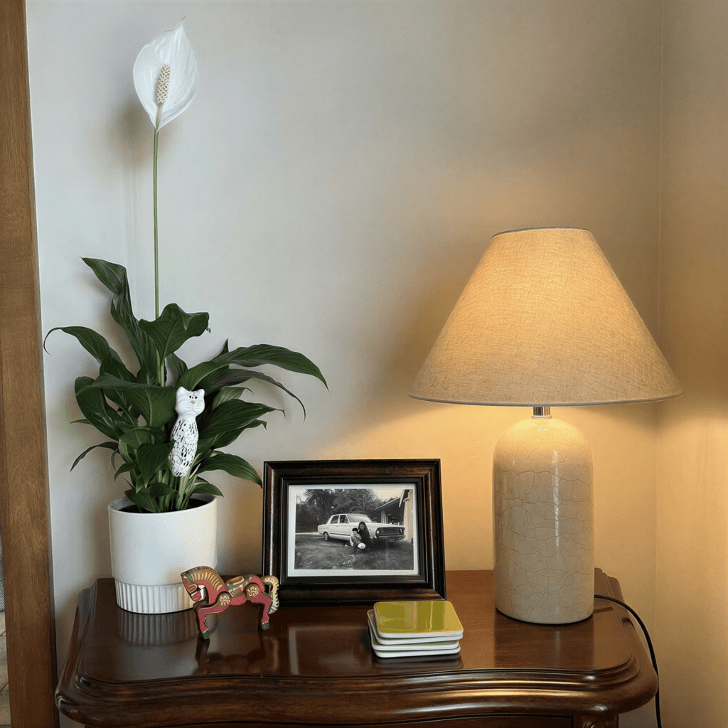 Clérachic Tresa table lamp in white marble, lit on a dark wood side table between a potted peace lily and a framed black-and-white photograph.